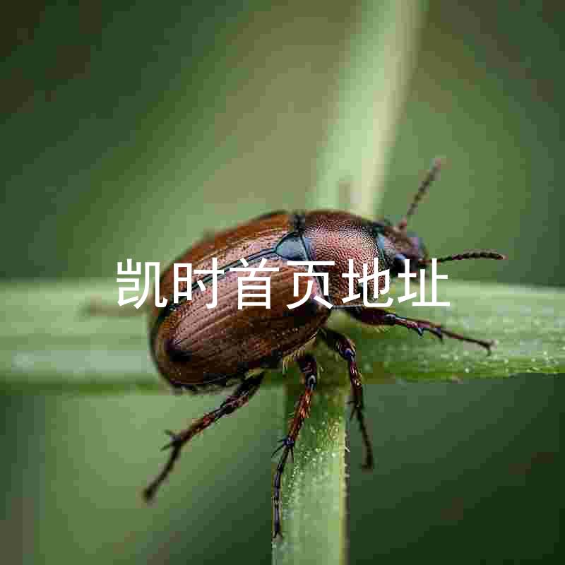 凯时首页地址