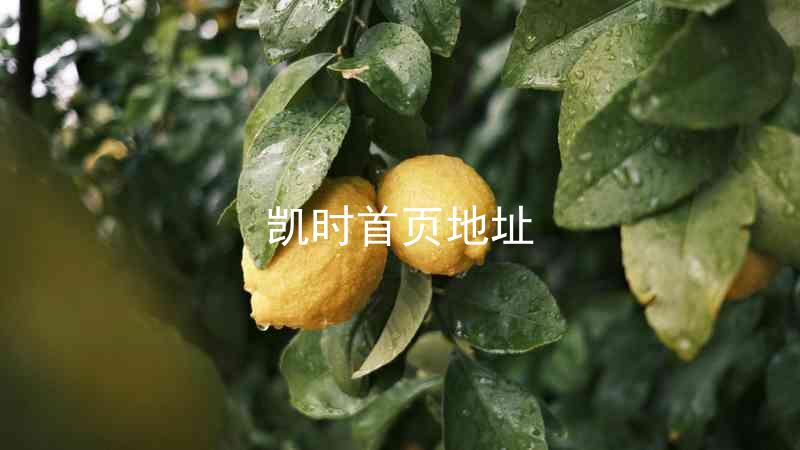 凯时首页地址