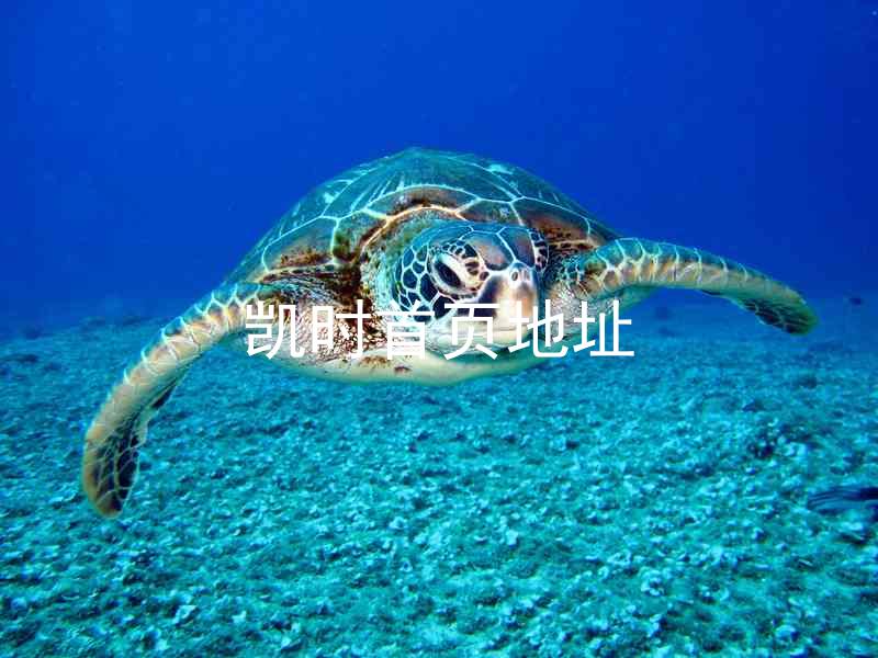 凯时首页地址